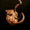 Dormouse II (Climbing) by John Michael