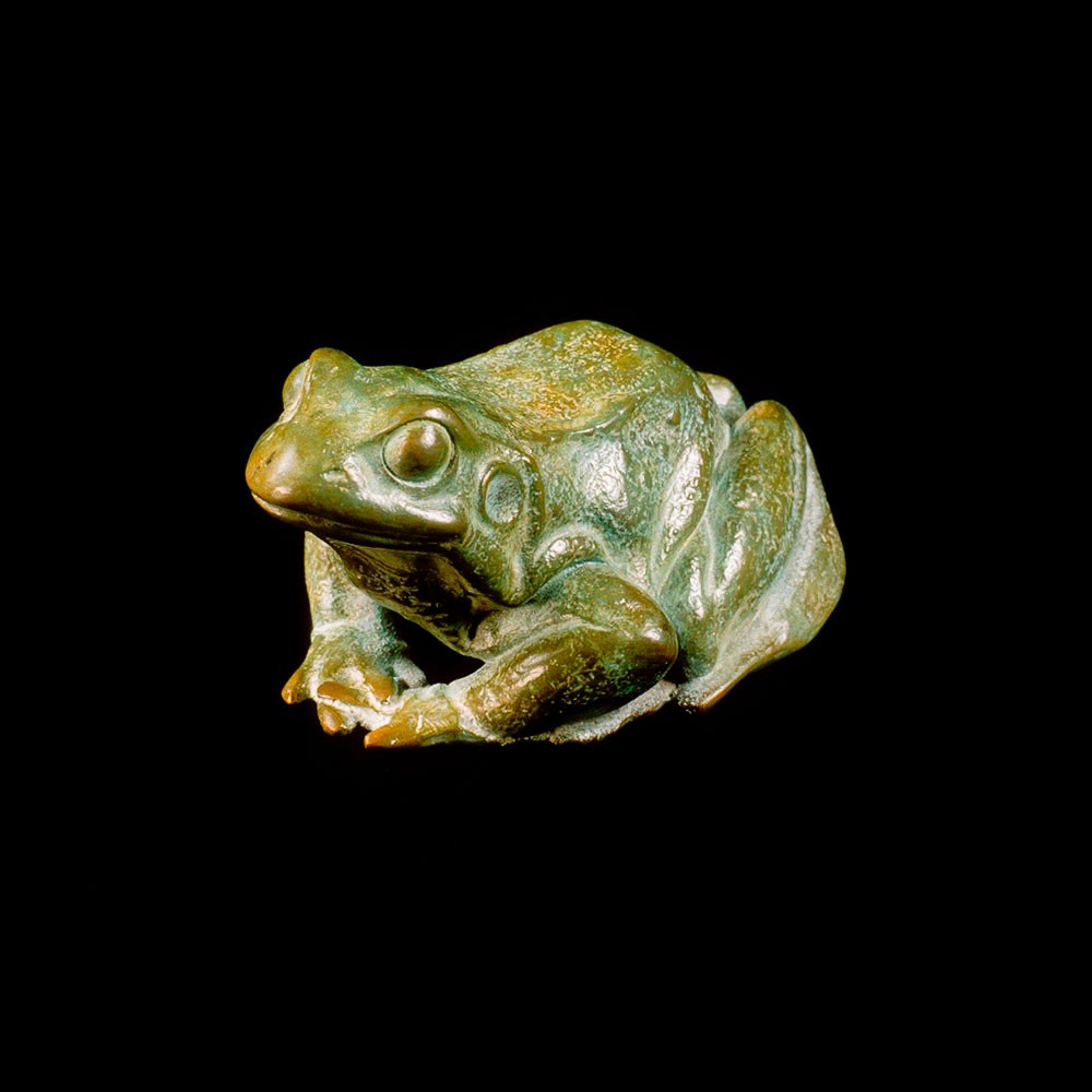Frog Frog by John Michael
