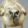 Goshawk by John Michael