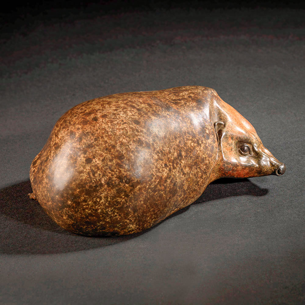 Hedgehog by John Michael