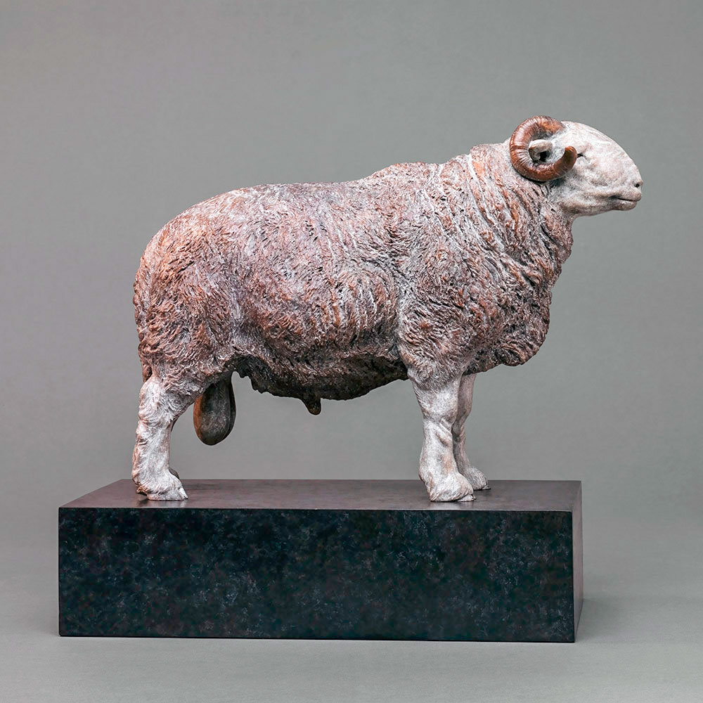 Herdwick Sheep by John Michael