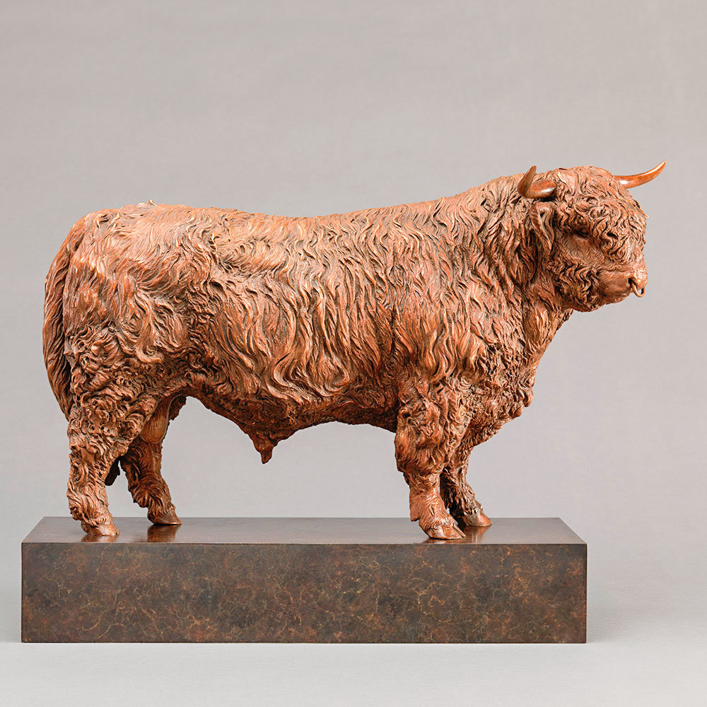 Highland Bull (Eric) by John Michael