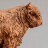 Highland Bull (Eric) by John Michael