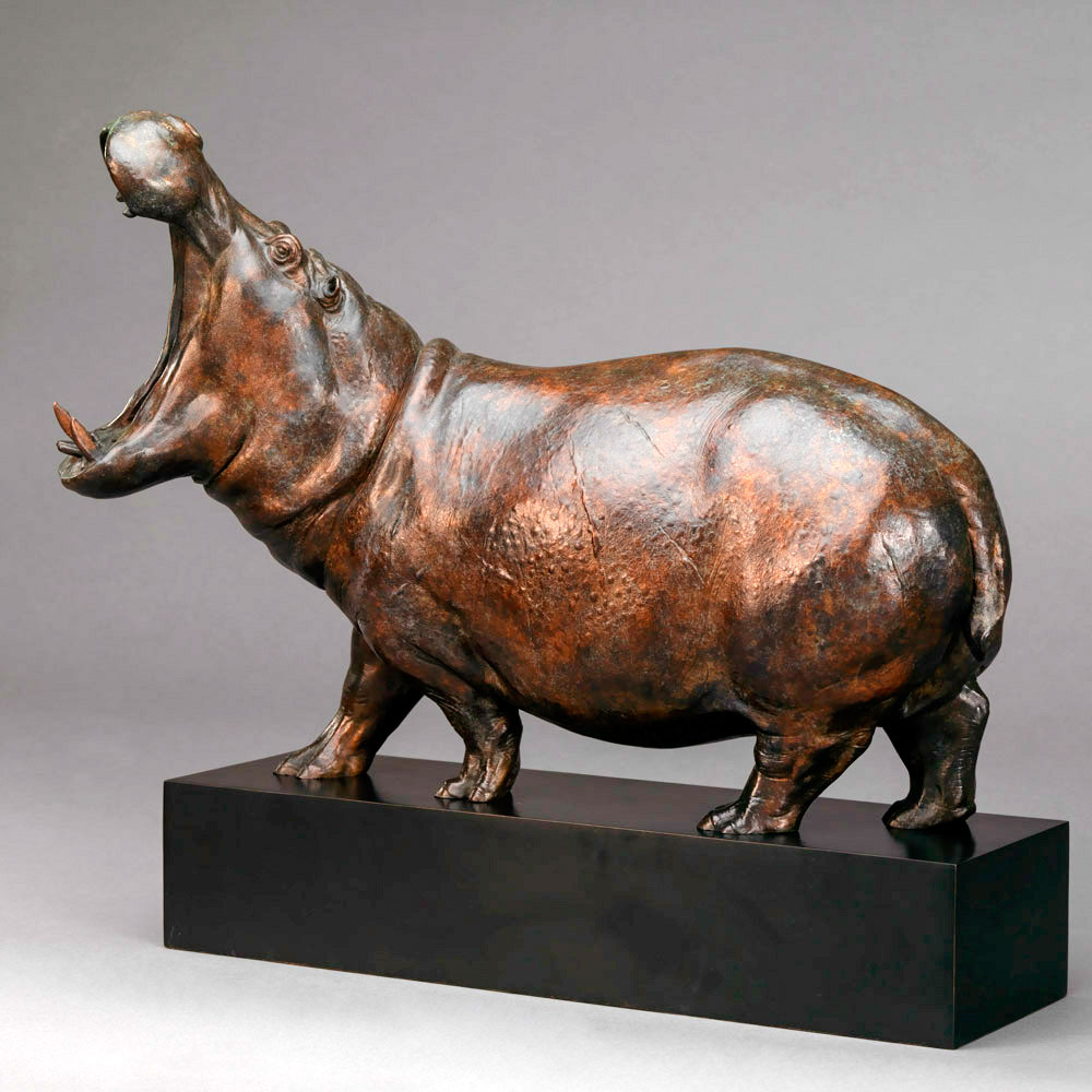 Hippopotamus Bull Hippopotamus Bull by John Michael