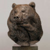 Kodiak Brown Bear (Indomitable - Head Study) by John Michael