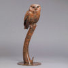 Little Owl by John Michael