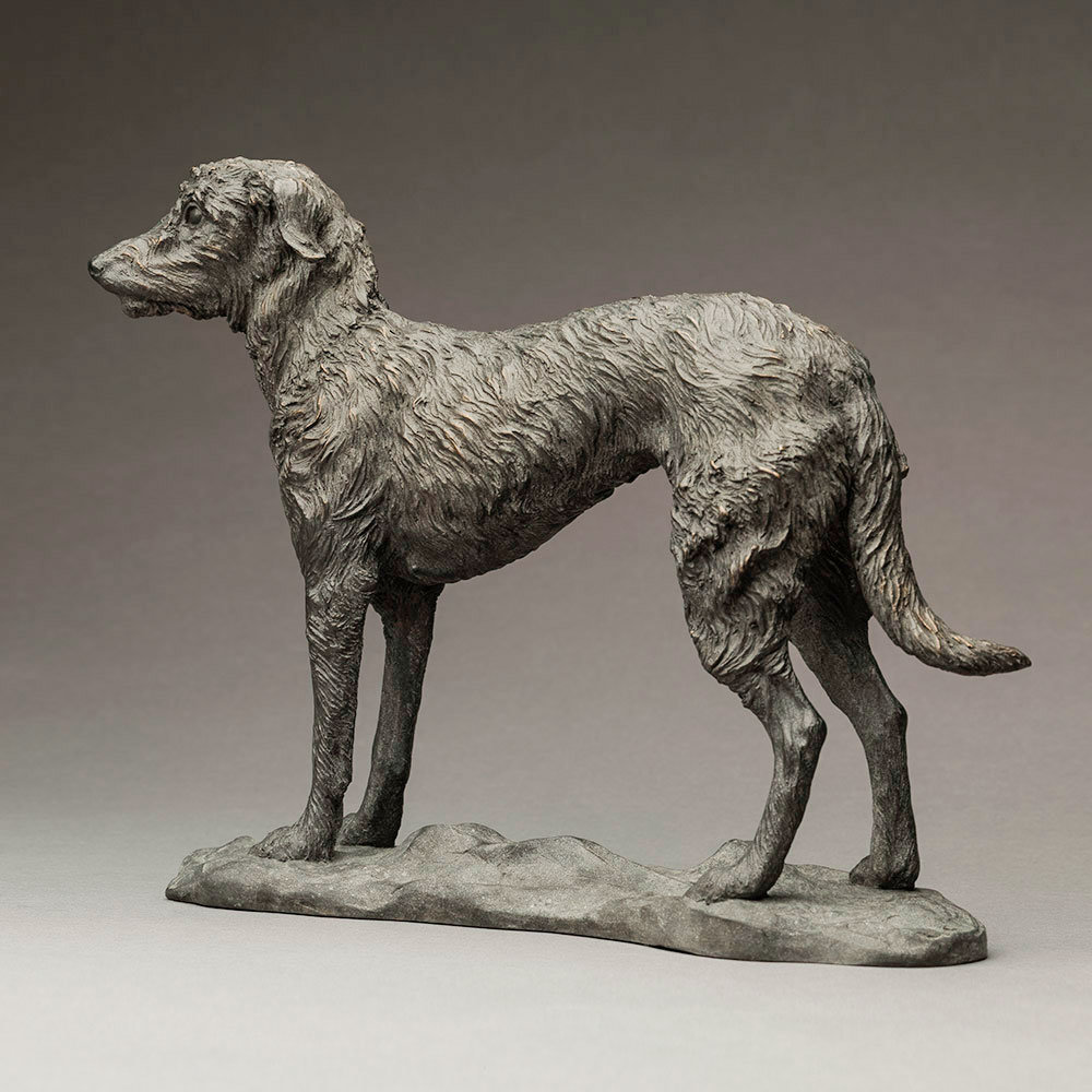 Lurcher (Grace) by John Michael