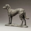Lurcher (Grace) by John Michael