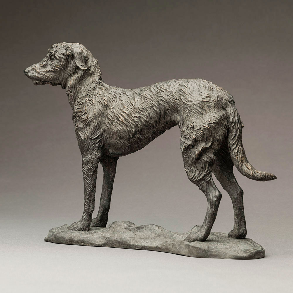 Lurcher (Grace) by John Michael