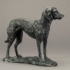 Lurcher (Grace) by John Michael