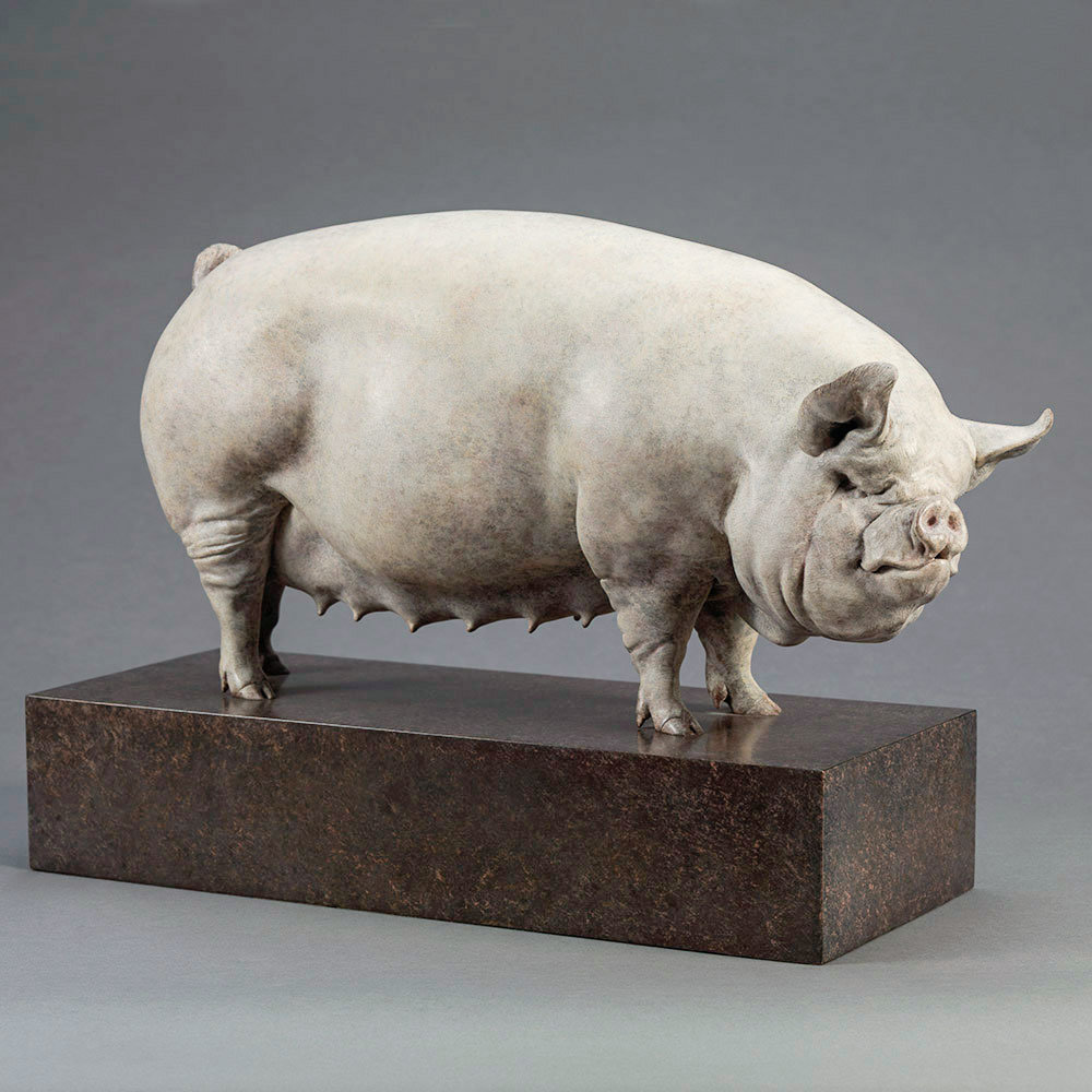 Middle White Pig (Alice) by John Michael