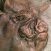 Middle White Pig (Truffles) by John Michael
