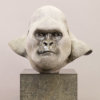 Mountain Gorilla (Silverback) by John Michael