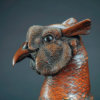 Pheasant by John Michael
