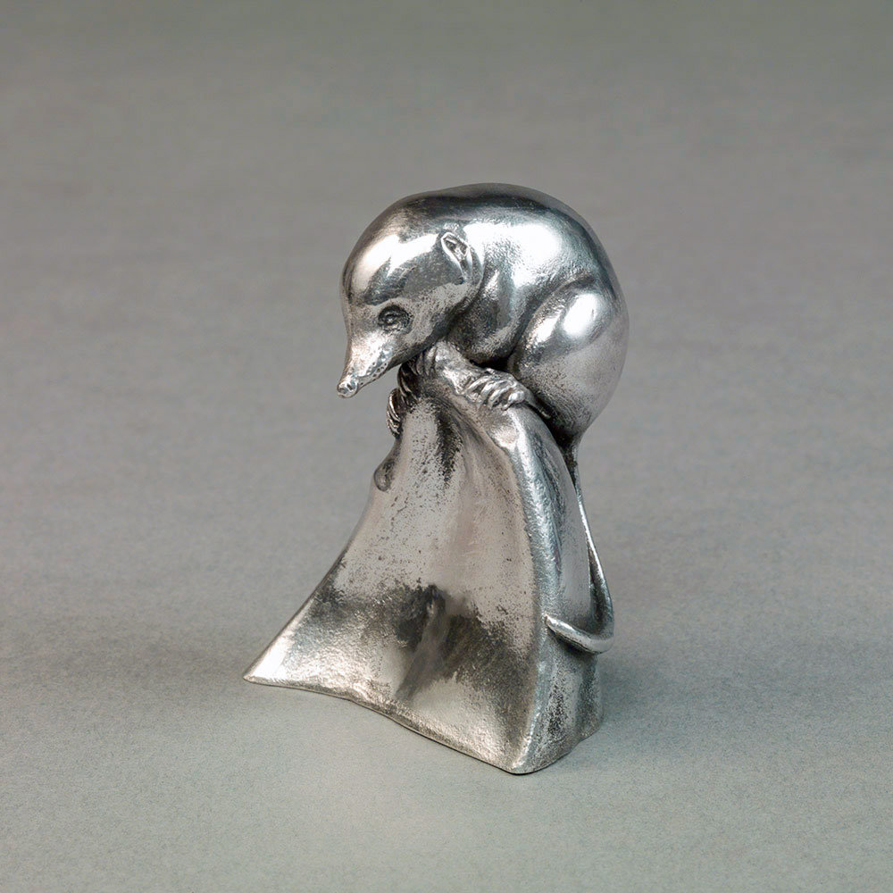 Silver Pygmy Shrew by John Michael