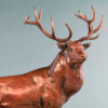 Red Deer Stag (The Emperor of Exmoor) by John Michael