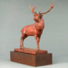 Red Deer Stag (The Emperor of Exmoor) by John Michael