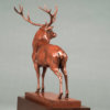 Red Deer Stag (The Emperor of Exmoor) by John Michael
