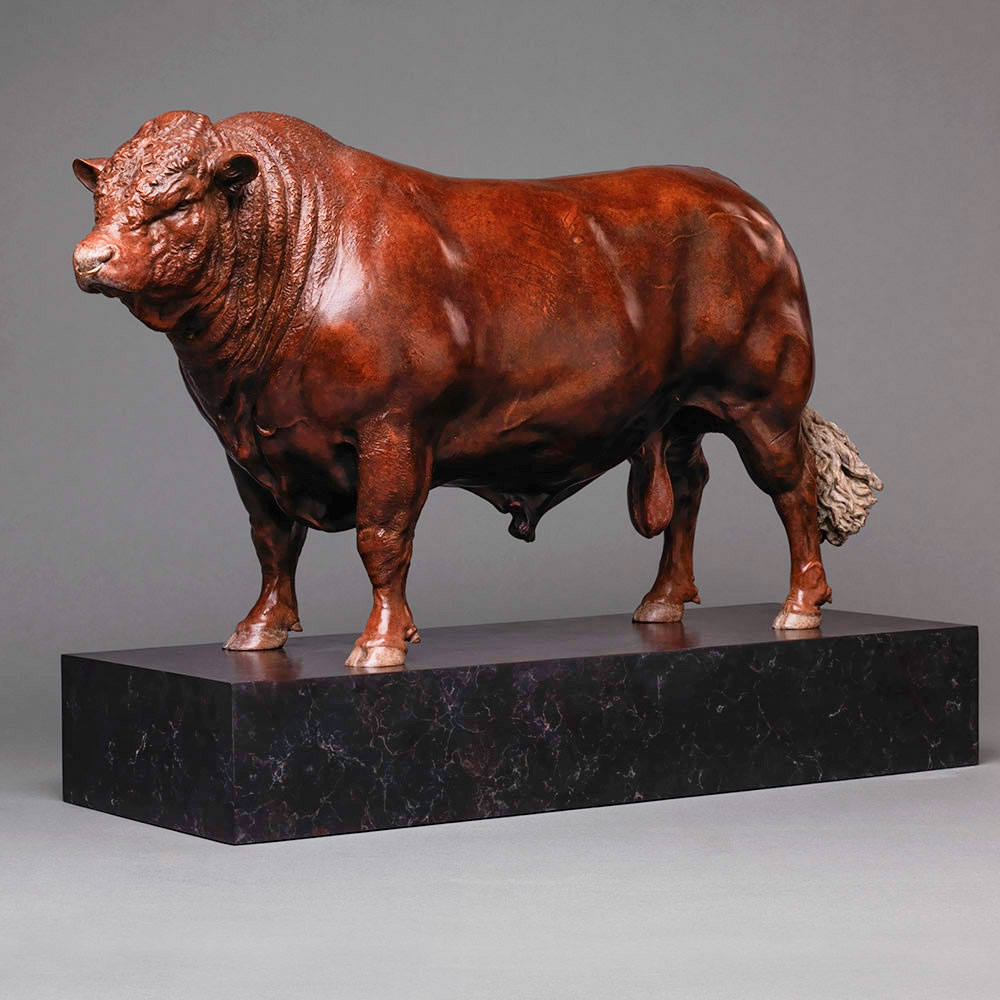 Red Ruby Devon Bull (Yeomadon Ferdinand) by John Michael