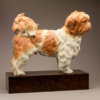 Shih Tzu (Bertie) by John Michael
