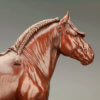 Suffolk Punch Stallion (Euston Malachite) by John Michael