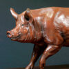 Tamworth Pig (Crane Glen III) by John Michael