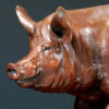 Tamworth Pig (Crane Glen III) by John Michael