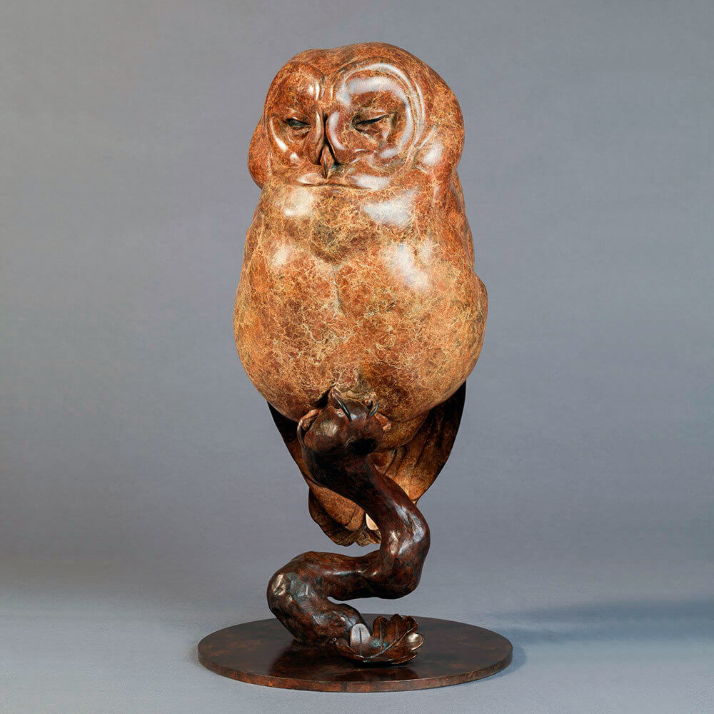 Tawny Owl by John Michael