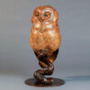 Tawny Owl by John Michael