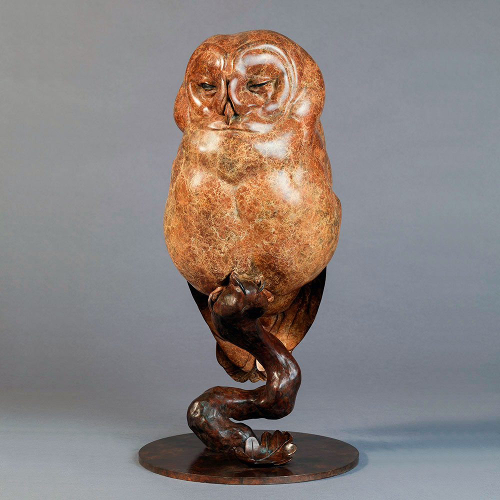 Tawny Owl Tawny Owl by John Michael