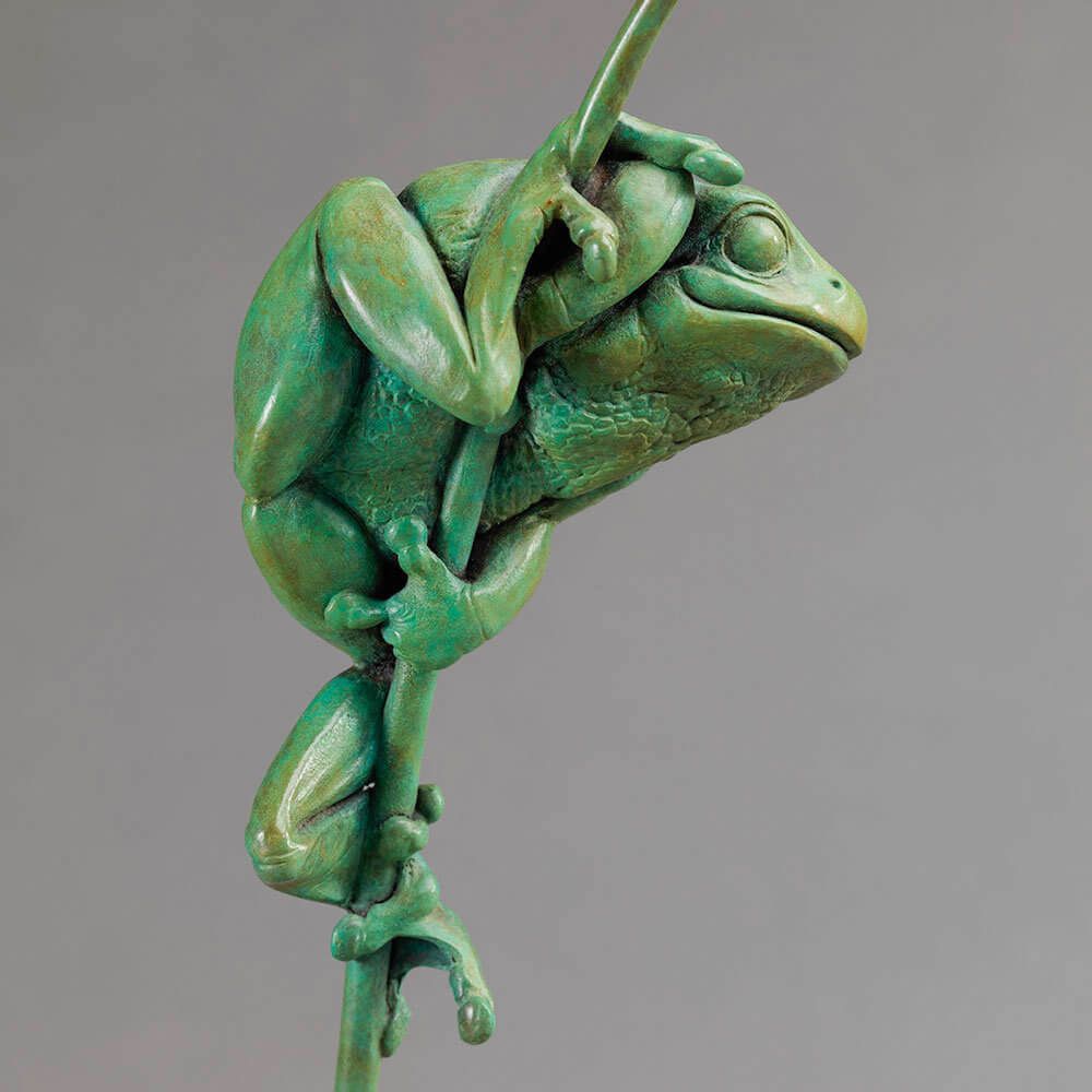 Tree Frog by John Michael