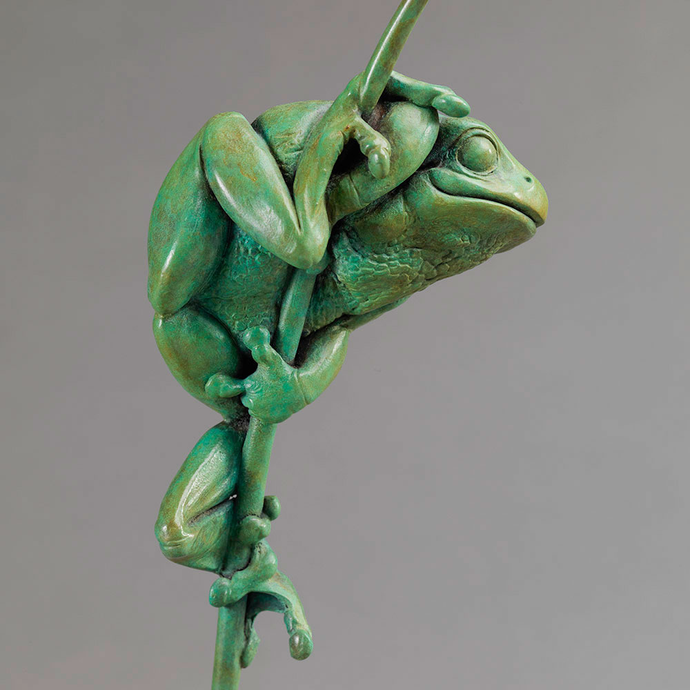 Tree Frog Tree Frog by John Michael