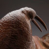 Walrus by John Michael