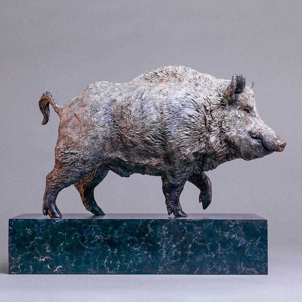 Wild Boar by John Michael