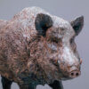 Wild Boar by John Michael