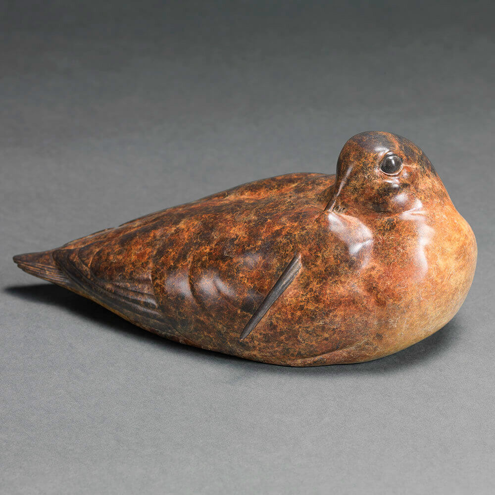 Woodcock II by John Michael