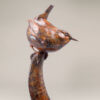 Wren III by John Michael