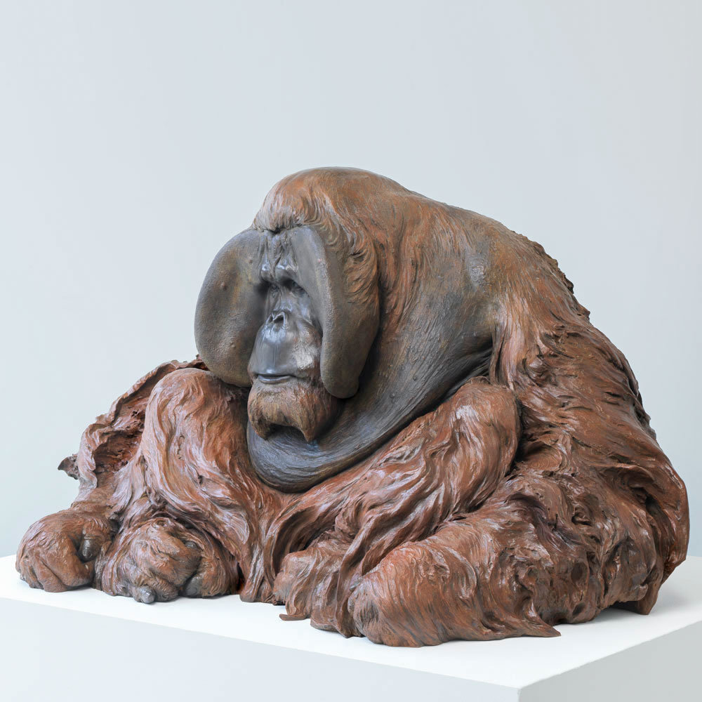 Life Size Sumatran Orangutan by John Michael