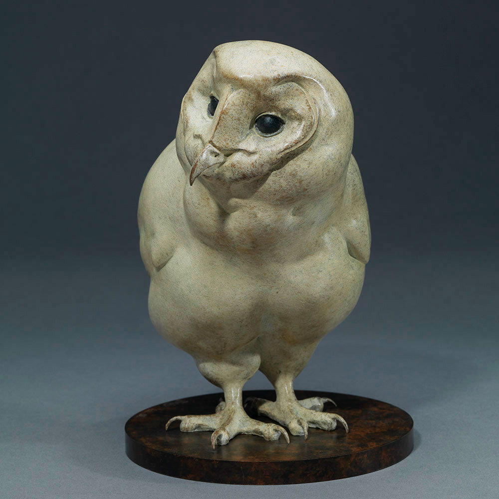 BARN OWL CHICK by John Michael