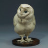 BARN OWL CHICK by John Michael