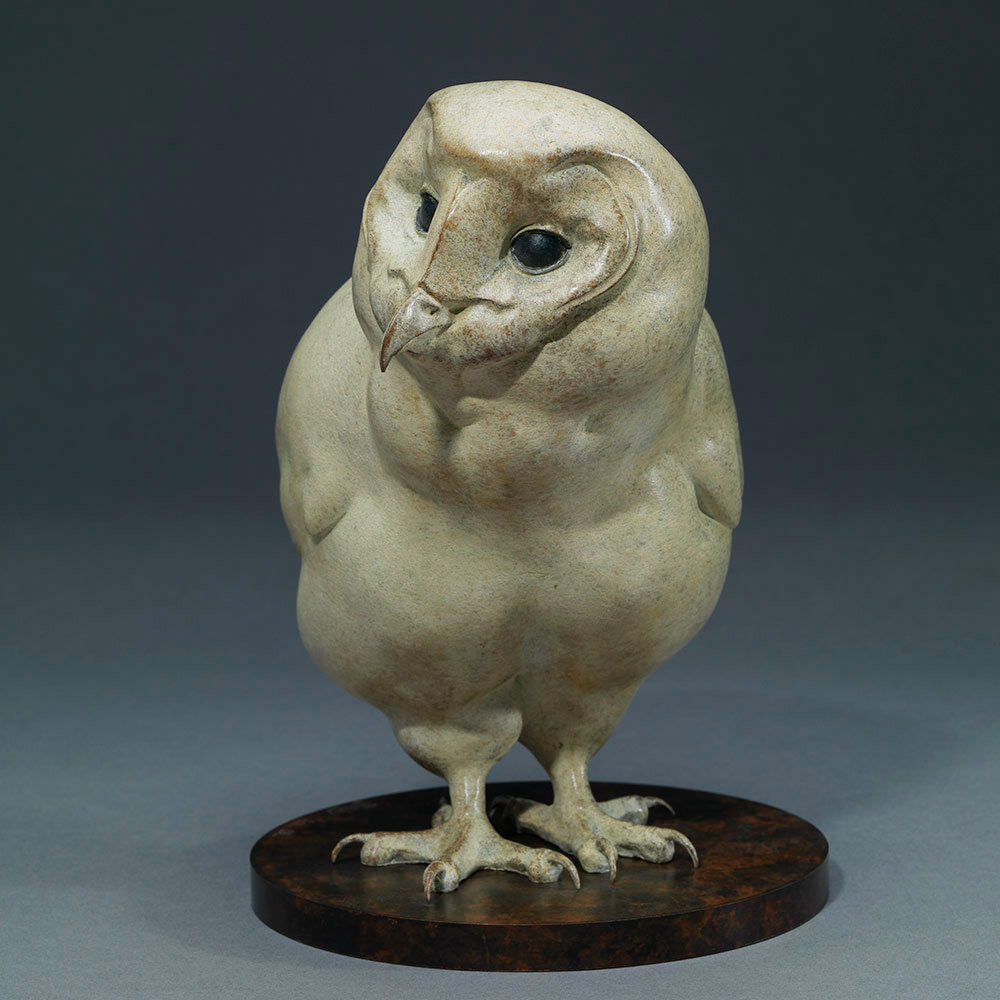 BARN OWL CHICK by John Michael