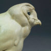 BARN OWL CHICK by John Michael