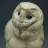 BARN OWL CHICK by John Michael