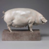 British Lop Pig (Liskeard Sunshine 500) by John Michael