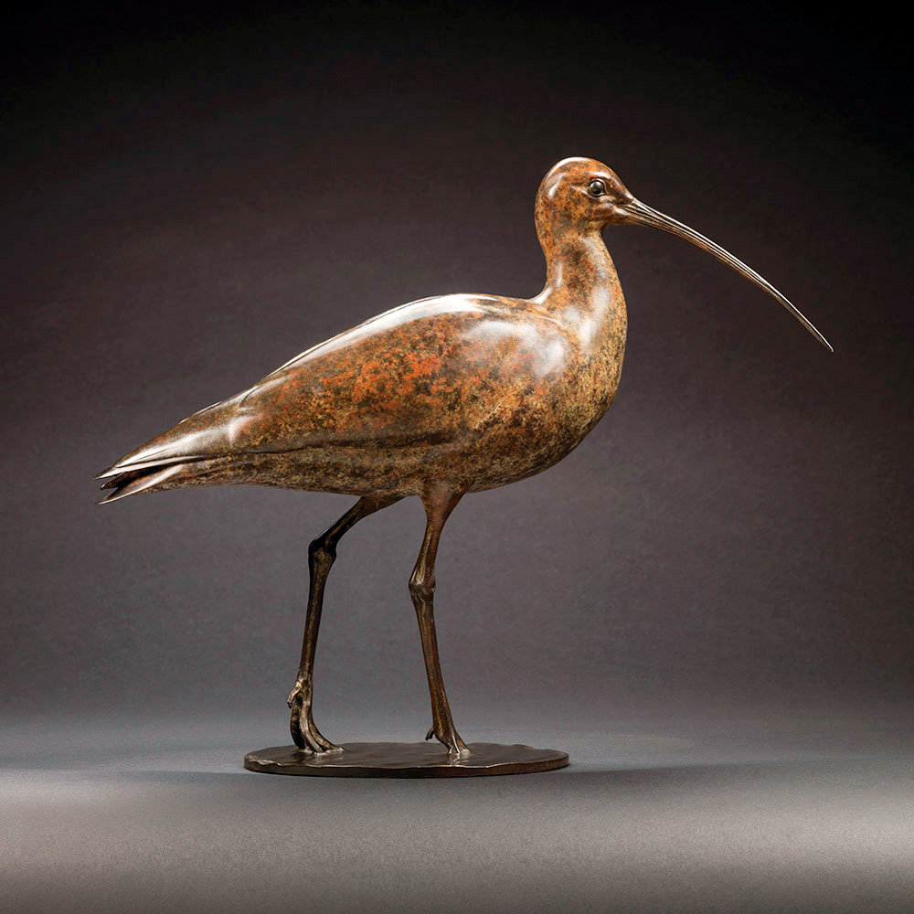 Curlew by John Michael