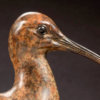 Curlew by John Michael