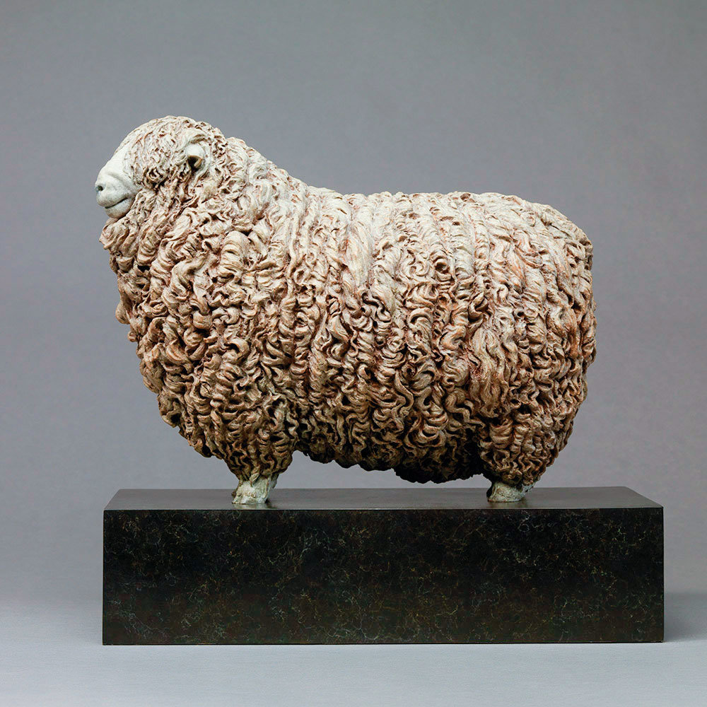 Devon and Cornwall Longwool Sheep (ED) by John Michael