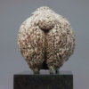 Devon and Cornwall Longwool Sheep (ED) by John Michael