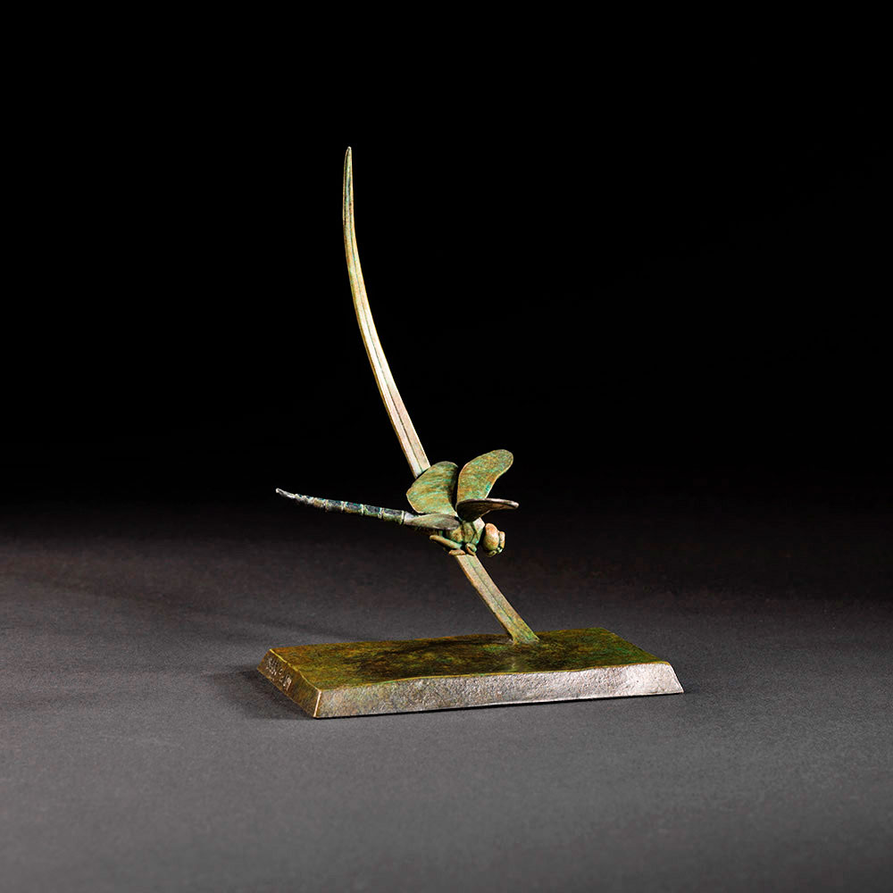 Dragonfly Dragonfly by John Michael
