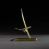 Dragonfly by John Michael